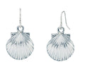 Shell stud earrings