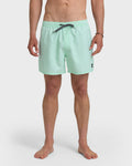 Everyday Solid 15" Swim Trunks - Brook Green