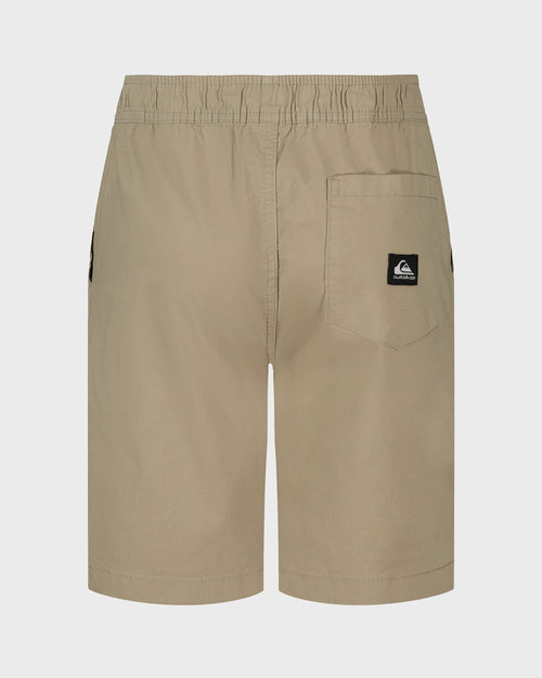 Boys Taxer Shorts