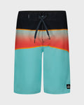 Boys Everyday Panel Boardshorts
