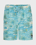 Boys Surfsilk Mix Volley Swim Trunks